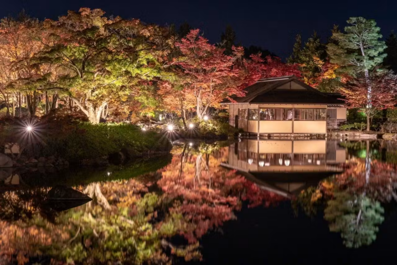 昭和杵公園秋の夜散歩